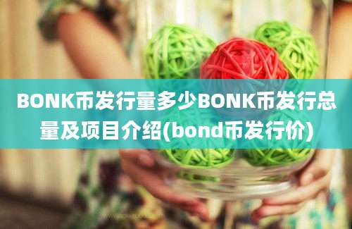 BONK币发行量多少BONK币发行总量及项目介绍(bond币发行价)