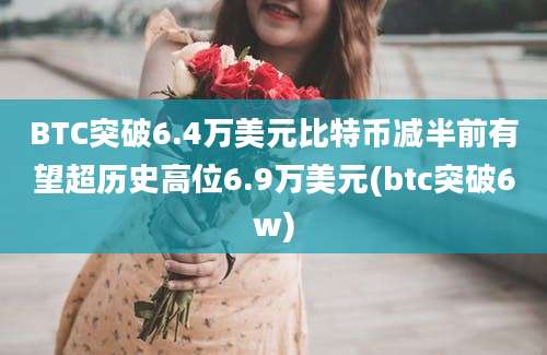 BTC突破6.4万美元比特币减半前有望超历史高位6.9万美元(btc突破6w)