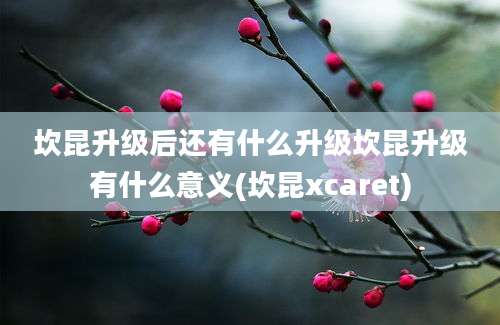 坎昆升级后还有什么升级坎昆升级有什么意义(坎昆xcaret)