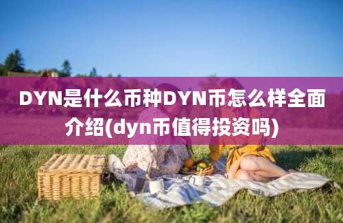 DYN是什么币种DYN币怎么样全面介绍(dyn币值得投资吗)