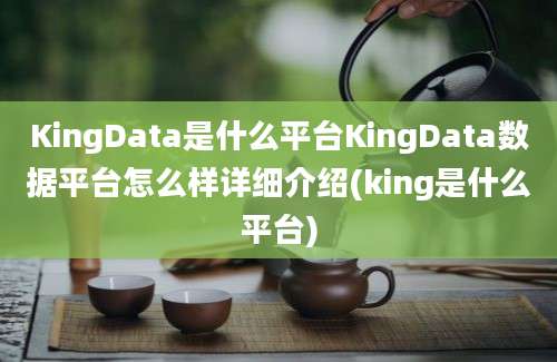 KingData是什么平台KingData数据平台怎么样详细介绍(king是什么平台)