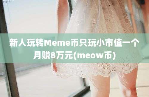 新人玩转Meme币只玩小市值一个月赚8万元(meow币)