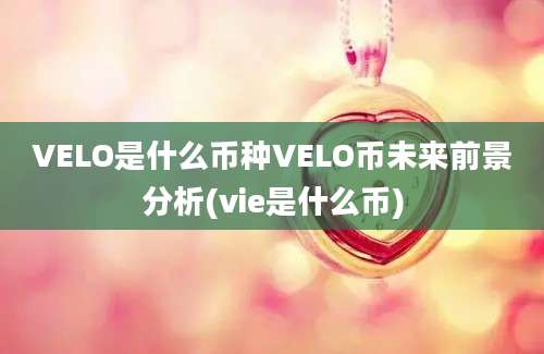 VELO是什么币种VELO币未来前景分析(vie是什么币)