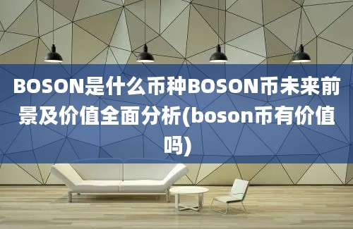 BOSON是什么币种BOSON币未来前景及价值全面分析(boson币有价值吗)