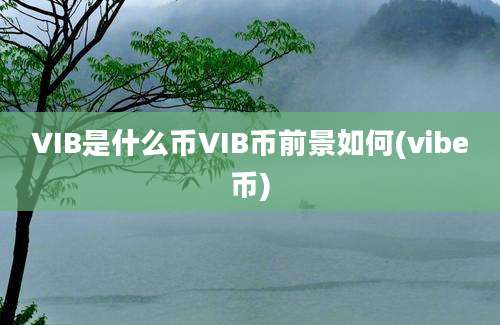 VIB是什么币VIB币前景如何(vibe币)