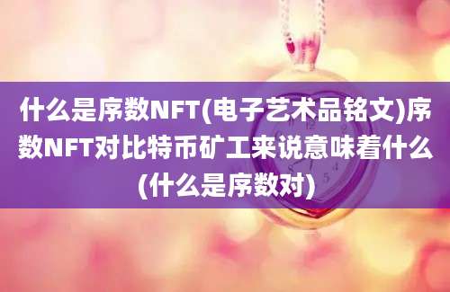 什么是序数NFT(电子艺术品铭文)序数NFT对比特币矿工来说意味着什么(什么是序数对)