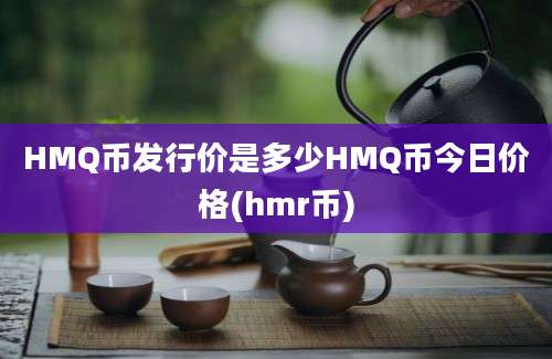 HMQ币发行价是多少HMQ币今日价格(hmr币)