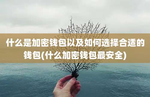 什么是加密钱包以及如何选择合适的钱包(什么加密钱包最安全)