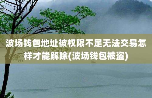 波场钱包地址被权限不足无法交易怎样才能解除(波场钱包被盗)