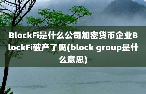 BlockFi是什么公司加密货币企业BlockFi破产了吗(block group是什么意思)