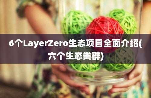 6个LayerZero生态项目全面介绍(六个生态类群)