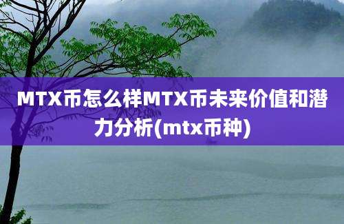 MTX币怎么样MTX币未来价值和潜力分析(mtx币种)