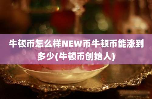 牛顿币怎么样NEW币牛顿币能涨到多少(牛顿币创始人)