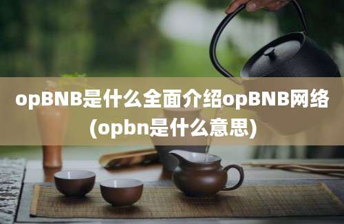 opBNB是什么全面介绍opBNB网络(opbn是什么意思)