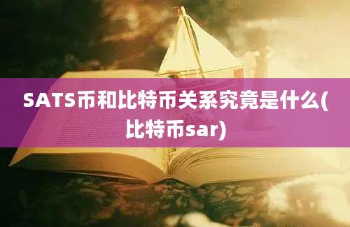 SATS币和比特币关系究竟是什么(比特币sar)