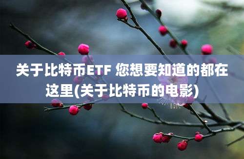 关于比特币ETF 您想要知道的都在这里(关于比特币的电影)