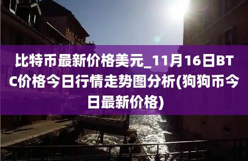 比特币最新价格美元_11月16日BTC价格今日行情走势图分析(狗狗币今日最新价格)