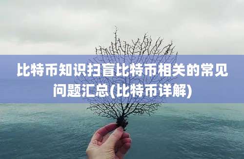 比特币知识扫盲比特币相关的常见问题汇总(比特币详解)