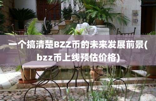 一个搞清楚BZZ币的未来发展前景(bzz币上线预估价格)