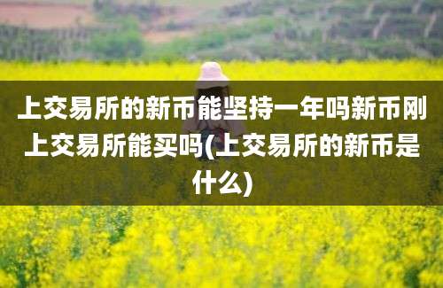 上交易所的新币能坚持一年吗新币刚上交易所能买吗(上交易所的新币是什么)