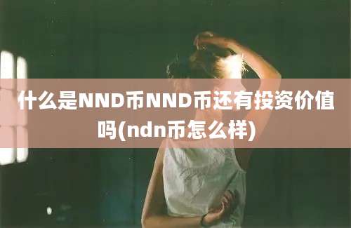 什么是NND币NND币还有投资价值吗(ndn币怎么样)