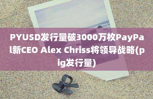 PYUSD发行量破3000万枚PayPal新CEO Alex Chriss将领导战略(pig发行量)