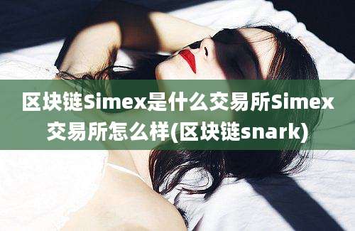 区块链Simex是什么交易所Simex交易所怎么样(区块链snark)