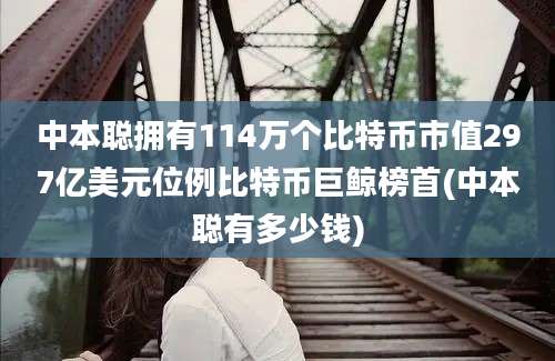 中本聪拥有114万个比特币市值297亿美元位例比特币巨鲸榜首(中本聪有多少钱)