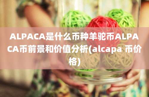 ALPACA是什么币种羊驼币ALPACA币前景和价值分析(alcapa 币价格)