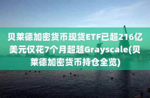 贝莱德加密货币现货ETF已超216亿美元仅花7个月超越Grayscale(贝莱德加密货币持仓全览)