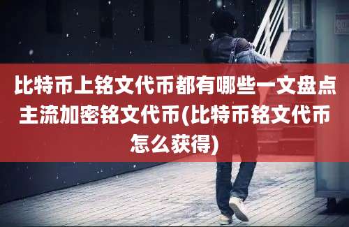 比特币上铭文代币都有哪些一文盘点主流加密铭文代币(比特币铭文代币怎么获得)