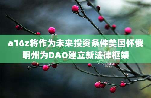 a16z将作为未来投资条件美国怀俄明州为DAO建立新法律框架