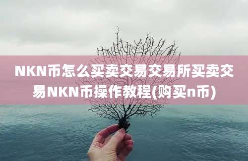 NKN币怎么买卖交易交易所买卖交易NKN币操作教程(购买n币)