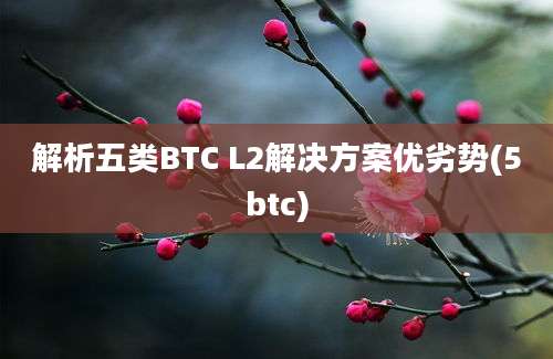 解析五类BTC L2解决方案优劣势(5btc)