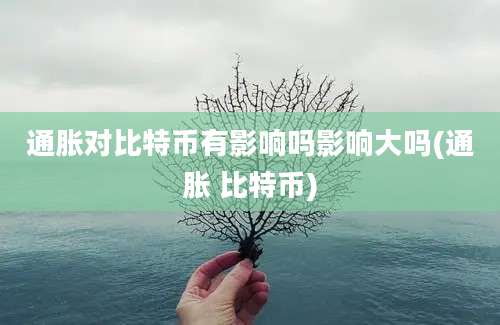 通胀对比特币有影响吗影响大吗(通胀 比特币)