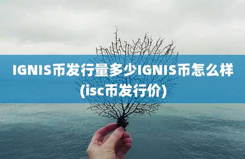 IGNIS币发行量多少IGNIS币怎么样(isc币发行价)