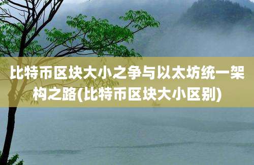 比特币区块大小之争与以太坊统一架构之路(比特币区块大小区别)