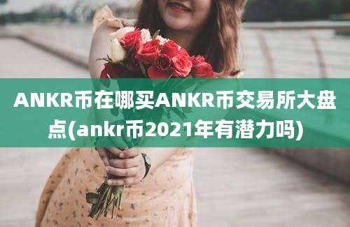 ANKR币在哪买ANKR币交易所大盘点(ankr币2021年有潜力吗)