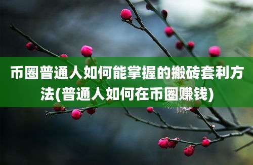 币圈普通人如何能掌握的搬砖套利方法(普通人如何在币圈赚钱)