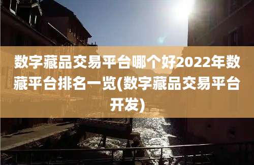 数字藏品交易平台哪个好2022年数藏平台排名一览(数字藏品交易平台开发)