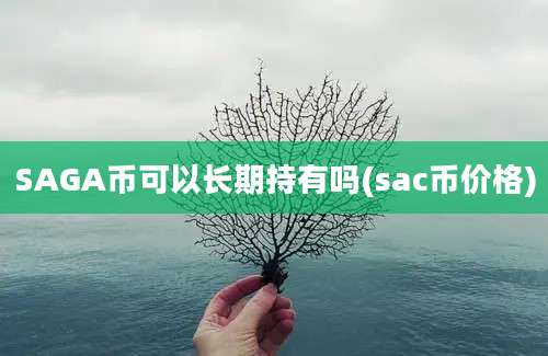 SAGA币可以长期持有吗(sac币价格)