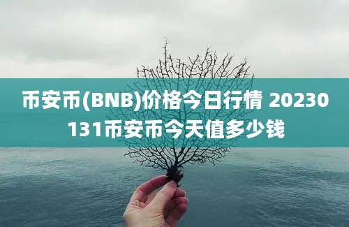 币安币(BNB)价格今日行情 20230131币安币今天值多少钱