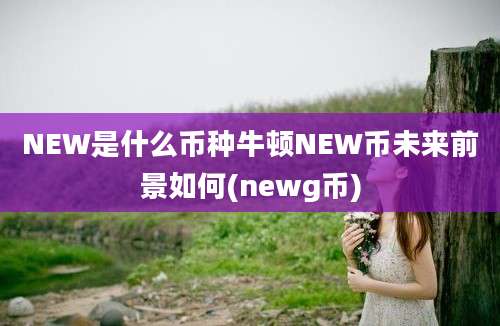 NEW是什么币种牛顿NEW币未来前景如何(newg币)