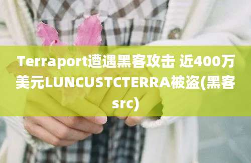 Terraport遭遇黑客攻击 近400万美元LUNCUSTCTERRA被盗(黑客src)