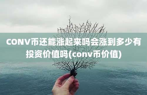 CONV币还能涨起来吗会涨到多少有投资价值吗(conv币价值)