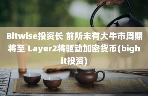 Bitwise投资长 前所未有大牛市周期将至 Layer2将驱动加密货币(bighit投资)