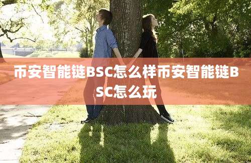 币安智能链BSC怎么样币安智能链BSC怎么玩