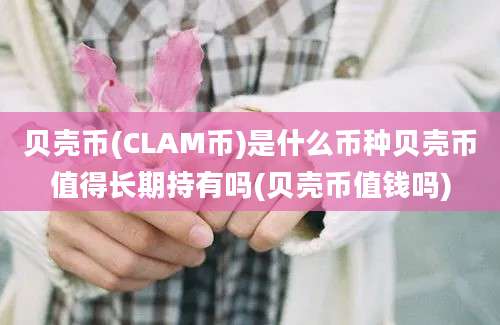 贝壳币(CLAM币)是什么币种贝壳币值得长期持有吗(贝壳币值钱吗)