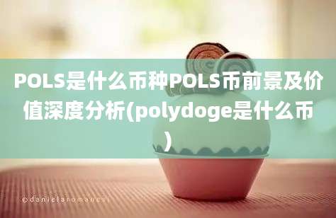 POLS是什么币种POLS币前景及价值深度分析(polydoge是什么币)