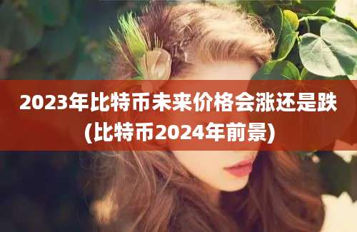 2023年比特币未来价格会涨还是跌(比特币2024年前景)